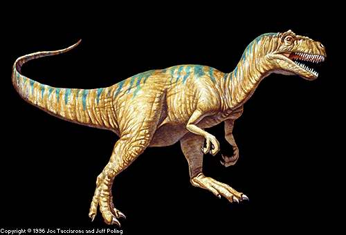 Allosaurus, mascotte de DinoMania !