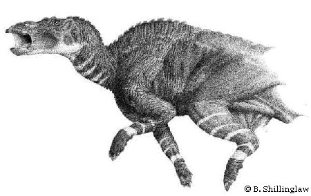 Une autre vision de l'Anatotitan, en pleine course
