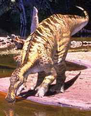Un Anatotitan se dsaltrait dans le courant d'une onde pure...