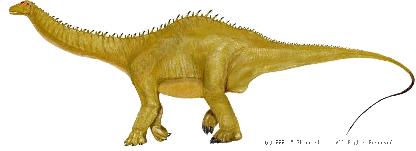 L'Apatosaurus, par S.Mineo