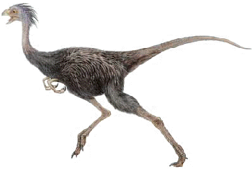 Un dinosaure  l'trange allure d'oiseau