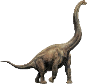 Un Brachiosaurus