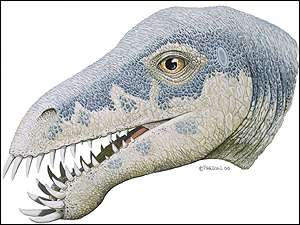 Reconstitution du crne de Masikasaurus
