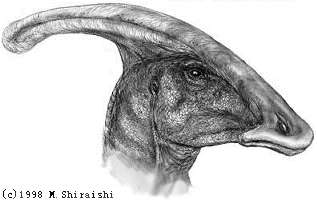 Parasaurolophus