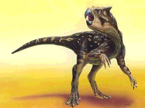 Psittacosaurus ( Todd Marshall)
