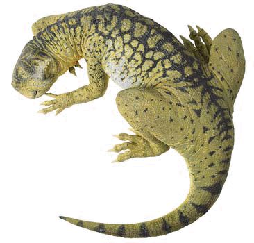 Blotti, le Psittacosaurus pouvait facilement se camoufler dans la vgtation
