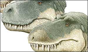 Le crne du T.rex revu et corrig