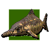 Ophtalmosaurus
